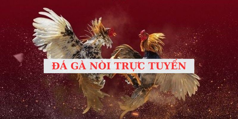 Đá gà nòi trực tuyến đầy kịch tính tại Good88